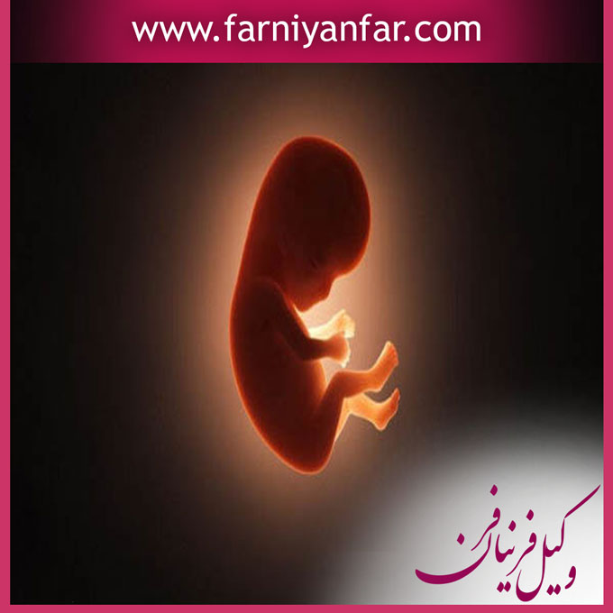 دیه سقط جنین