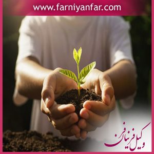 حق ریشه چیست؟