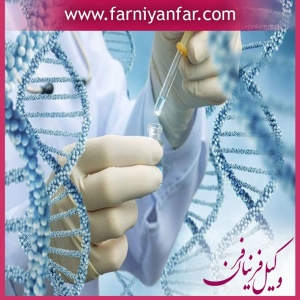 وکیل اثبات نسب